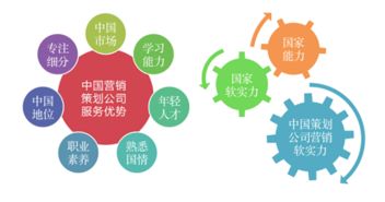 中國青年網發布2019年度中國十大營銷策劃公司排名，南方略咨詢連續入榜領銜網絡營銷策劃