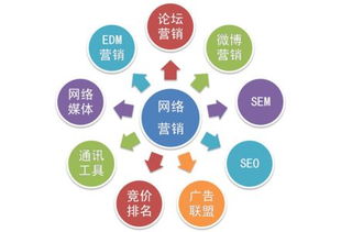 網(wǎng)絡(luò)營銷與網(wǎng)絡(luò)推廣實(shí)操指南 從策劃到執(zhí)行的全流程解析